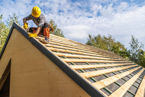 Best Roof Gutter Cleaning  in Tichigan, WI